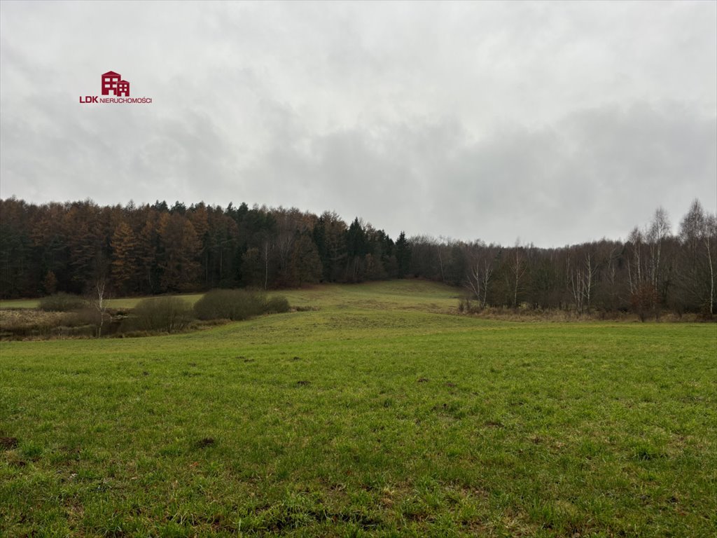 Działka budowlana na sprzedaż Mierzeszyn, Wolności  3 100m2 Foto 6