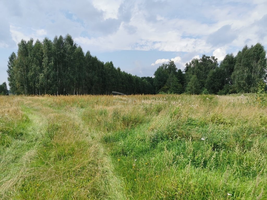 Działka rolna na sprzedaż Królowe Stojło  8 500m2 Foto 17