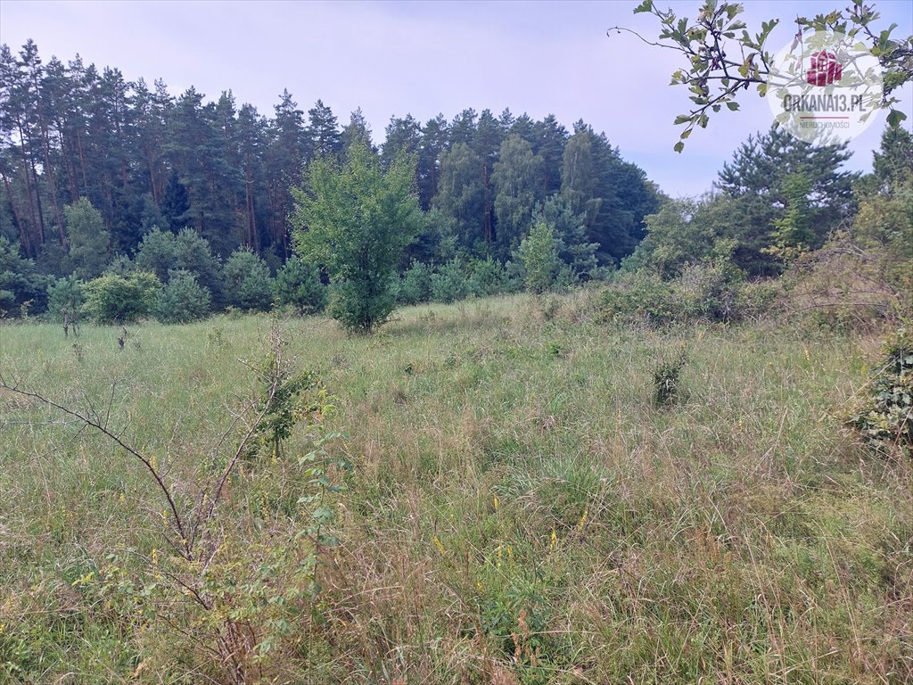 Działka rekreacyjna na sprzedaż Barwiny, Barwiny (osada)  2 302m2 Foto 1