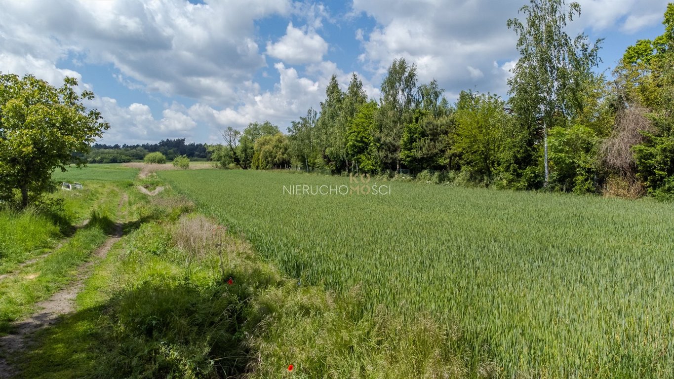 Działka budowlana na sprzedaż Wilczyn  3 241m2 Foto 1