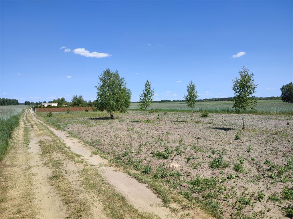 Działka budowlana na sprzedaż Joniec  2 400m2 Foto 1