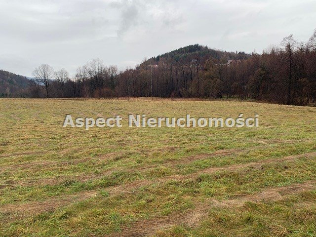 Działka inna na sprzedaż Rzyki  22 592m2 Foto 1