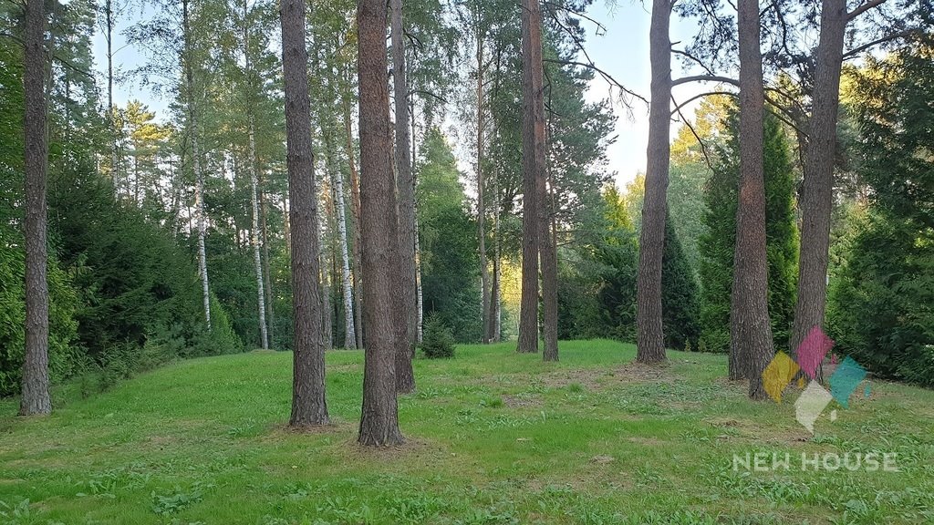 Działka budowlana na sprzedaż Olsztyn, Redykajny, Żbicza  7 540m2 Foto 10