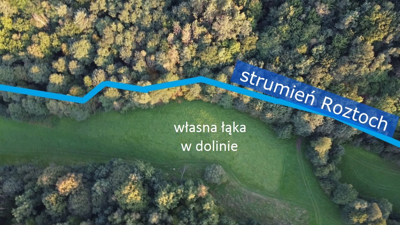 Działka siedliskowa na sprzedaż Melonek  41 400m2 Foto 5