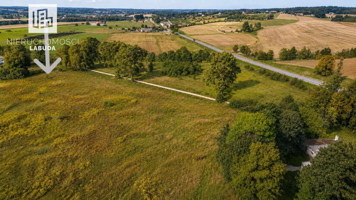 Zapraszam do zakupu dużej działki 3101 m² w Leźnie Leźno, Lisia  3 101m2 Foto 1