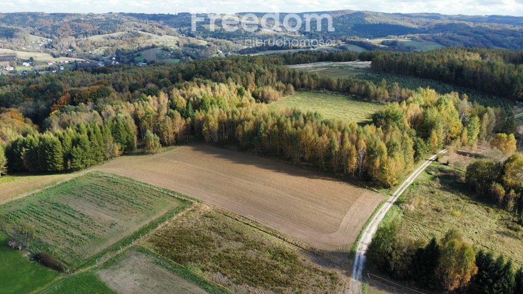 Działka budowlana na sprzedaż Połomia  5 700m2 Foto 2