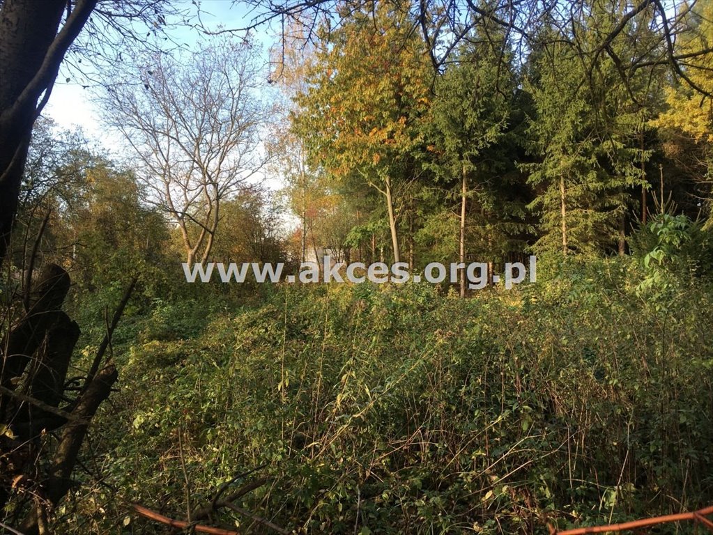 Działka leśna na sprzedaż Kępa Kiełpińska  3 014m2 Foto 5
