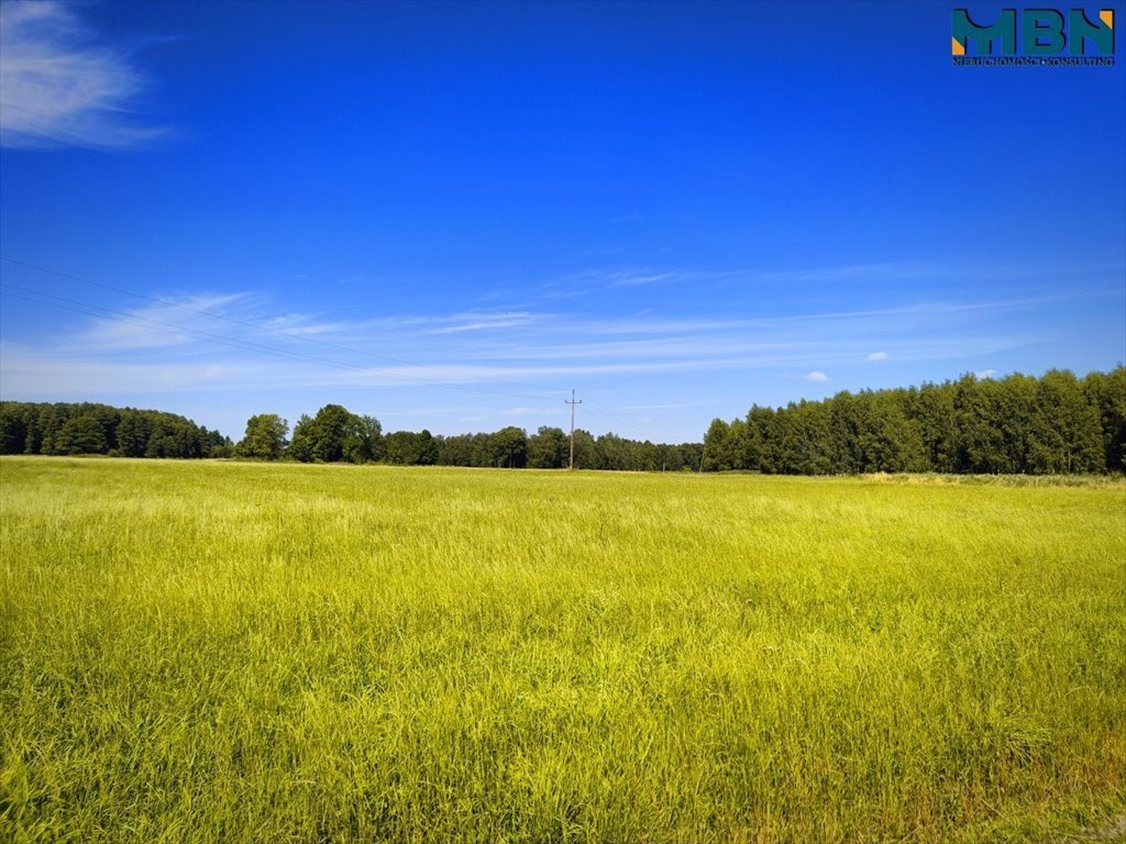 Działka budowlana na sprzedaż Harsz, Harsz  3 337m2 Foto 7