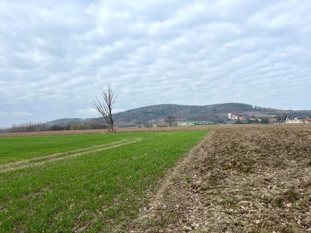 Działka budowlana na sprzedaż Tuszyn, Tuszyn  6 723m2 Foto 6