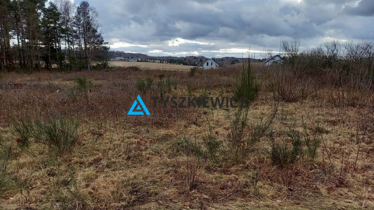 Działka rolna na sprzedaż Zbychowo, Kamienna  4 200m2 Foto 1