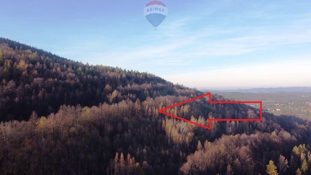 Działka leśna na sprzedaż Karpacz, Górna  14 544m2 Foto 4