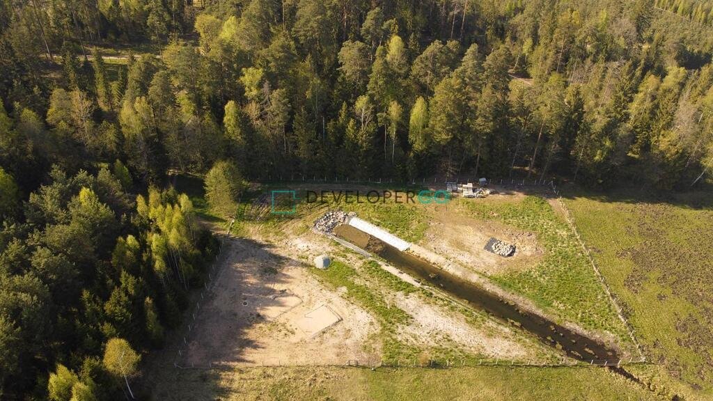 Działka budowlana na sprzedaż Gorczyca  5 300m2 Foto 5