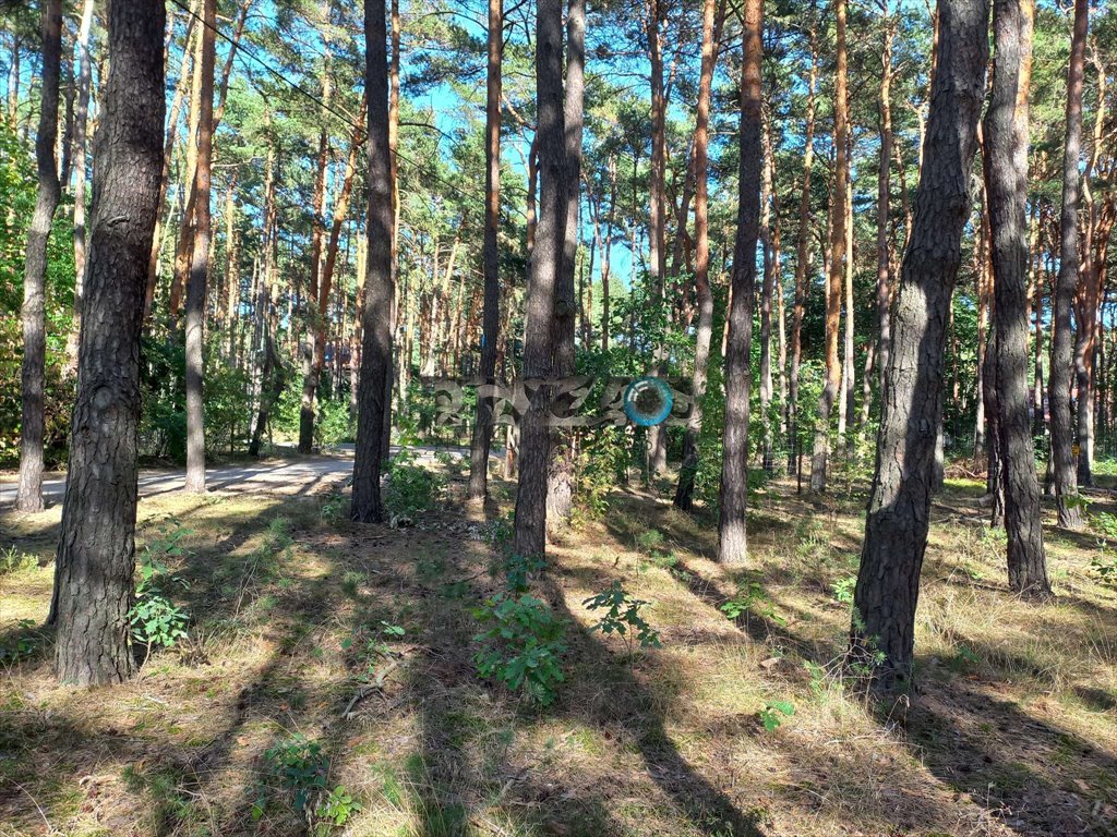 Działka budowlana na sprzedaż Józefów, Józefów, Ziarnista  1 200m2 Foto 4