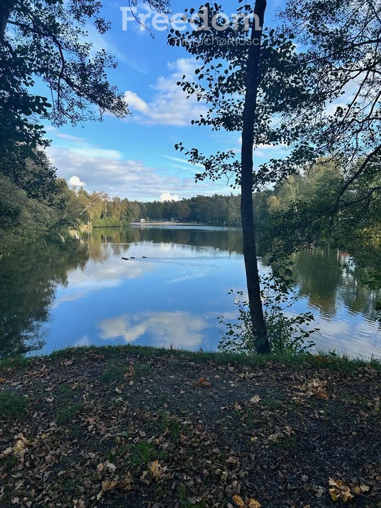 Działka rekreacyjna na sprzedaż Rokitki  300m2 Foto 9