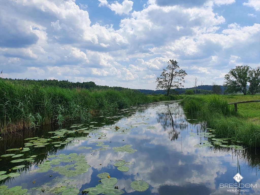 Działka budowlana na sprzedaż Śródka  2 179m2 Foto 15