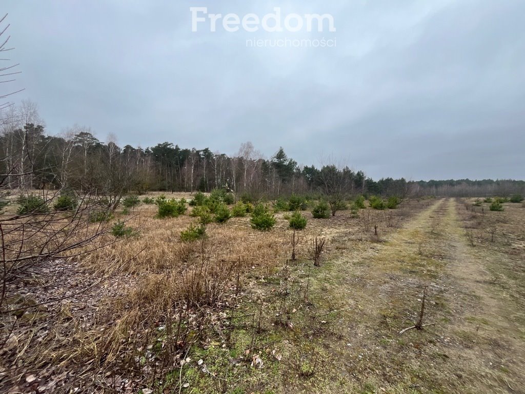 Działka budowlana na sprzedaż Czarne Błoto  916m2 Foto 1