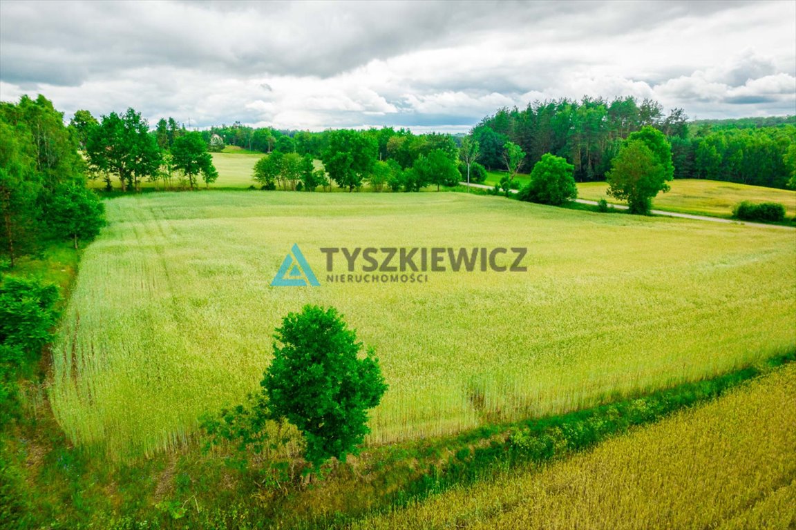 Działka budowlana na sprzedaż Dąbrówka  7 800m2 Foto 10