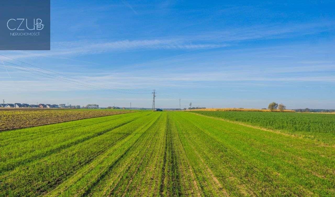 Działka budowlana na sprzedaż Dopiewo, ul. Młyńska  3 731m2 Foto 7