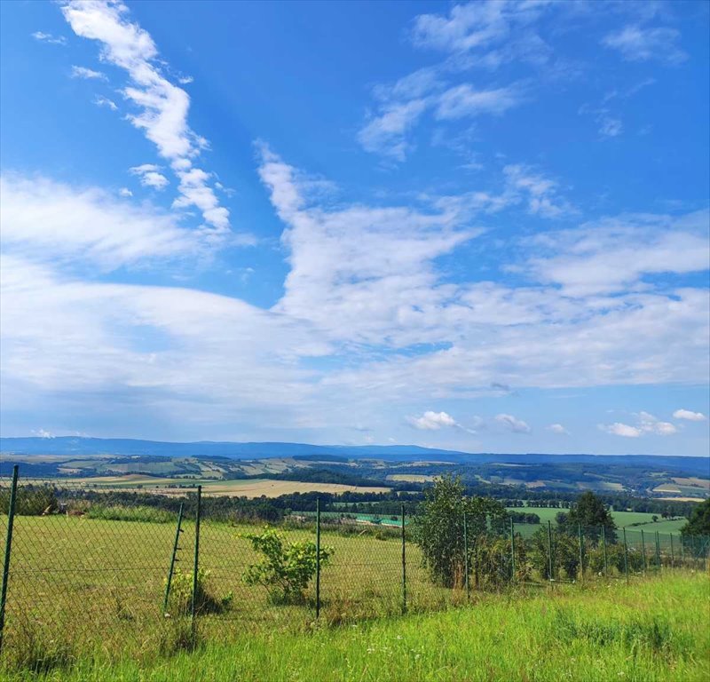 Działka inna na sprzedaż Nowa Ruda  1 412m2 Foto 4