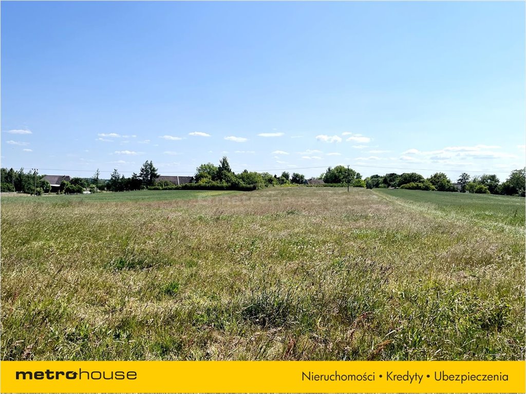 Działka rolna na sprzedaż Rogozina, Trzebiatów  1 585m2 Foto 2