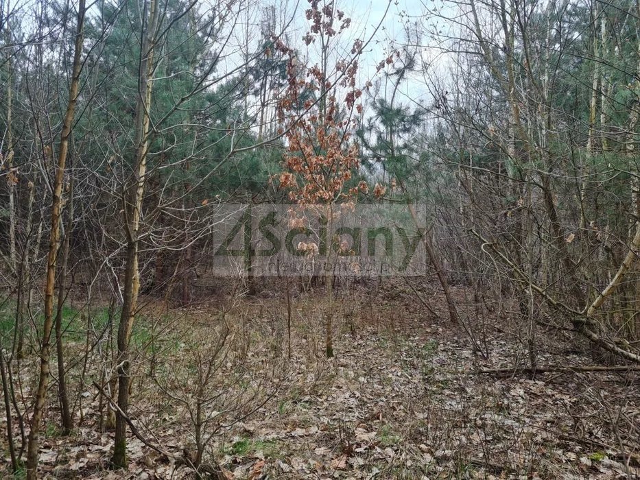 Działka budowlana 4194 m² z mediami i planami kanalizacji Czarny Las  4 194m2 Foto 1