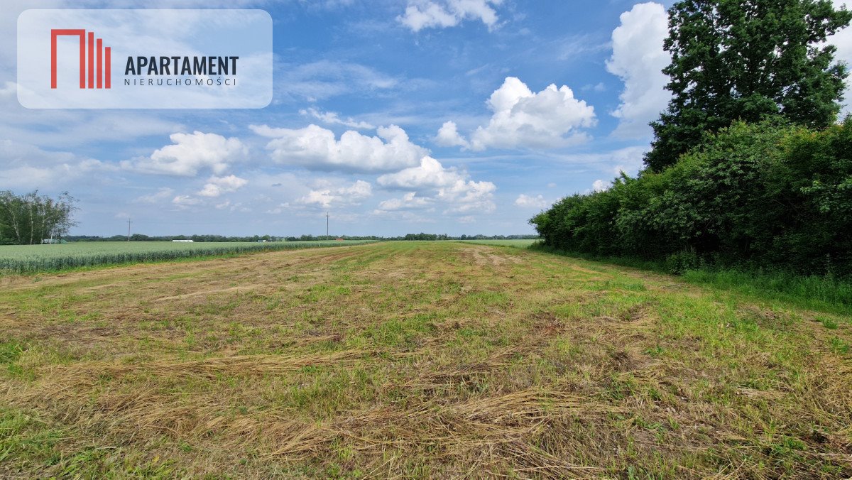 Działka budowlana na sprzedaż Wiewiórczyn  1 000m2 Foto 3