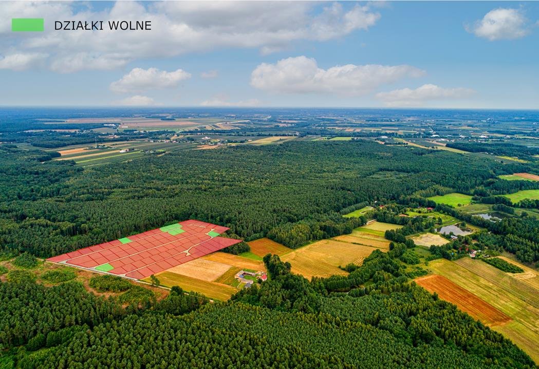 Działka budowlana na sprzedaż Skierniewice, Działka otoczona lasem 50 min od Warszawy!  529m2 Foto 3