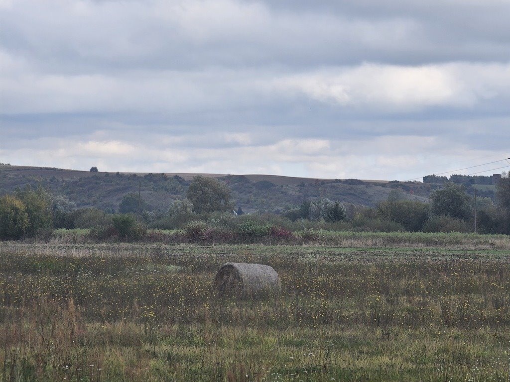 Działka budowlana na sprzedaż Osiedle Poznańskie  13 358m2 Foto 2