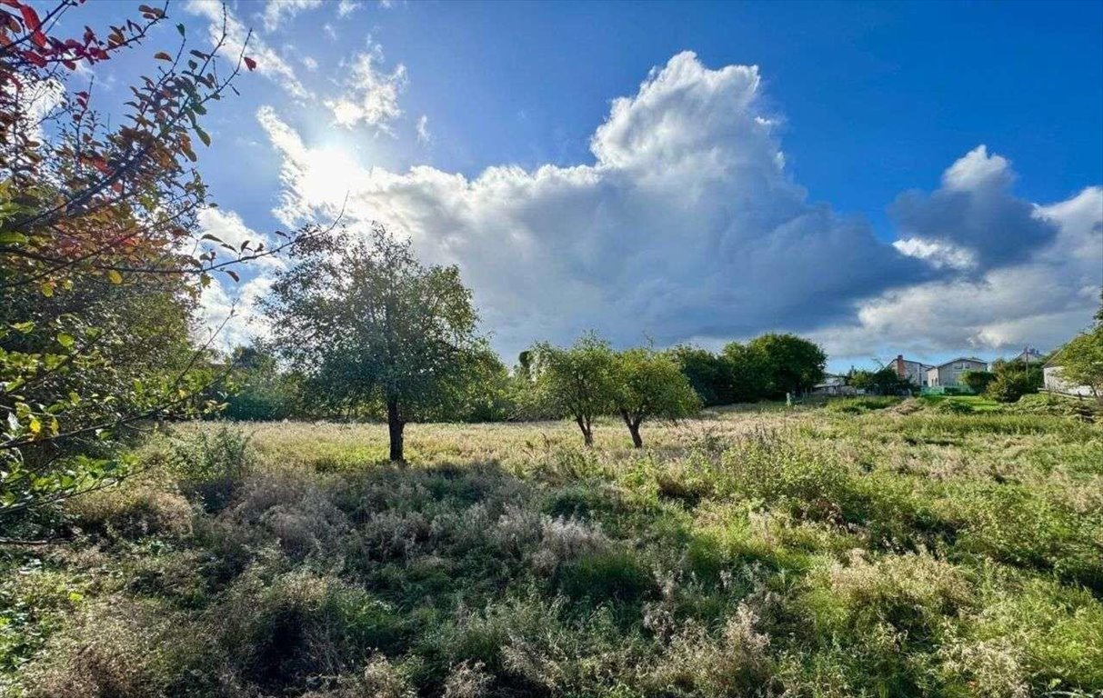 Działka budowlana na sprzedaż Gorzyno  5 800m2 Foto 3