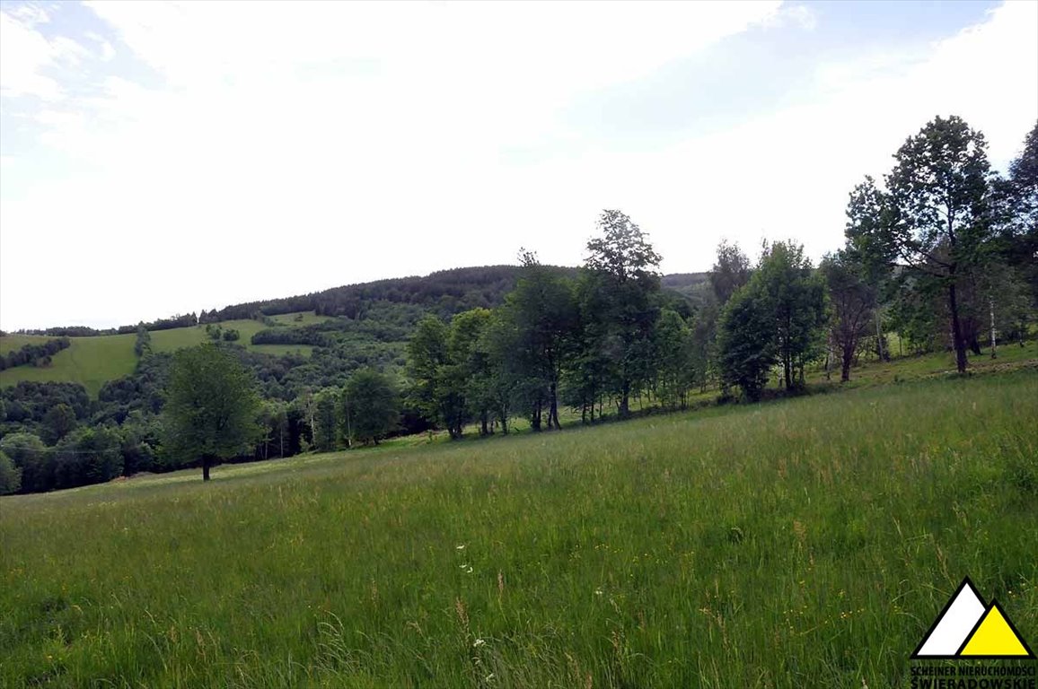 Działka budowlana na sprzedaż Gierczyn  9 700m2 Foto 7