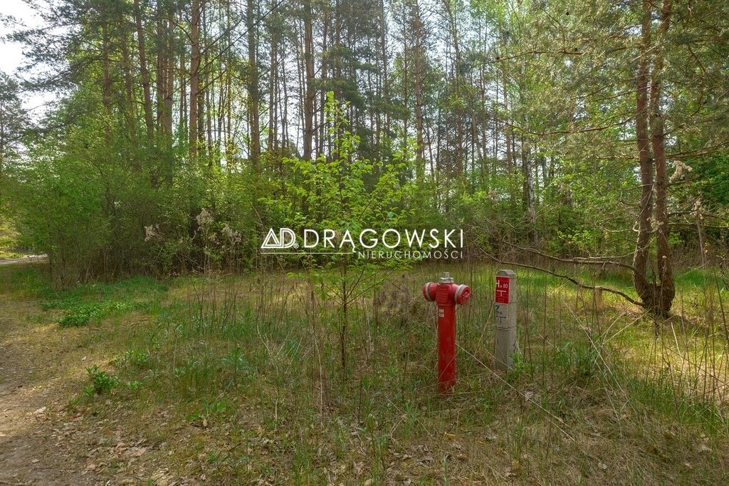 Zdjęcie 8