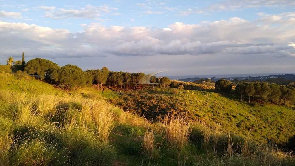 Działka budowlana na sprzedaż Hiszpania, Mijas Valtocado, Mijas Valtocado  2 390m2 Foto 15