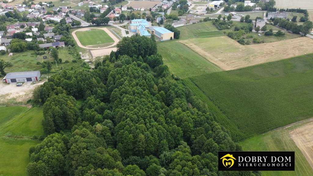 Działka rolna na sprzedaż Trzcianne  38 210m2 Foto 4