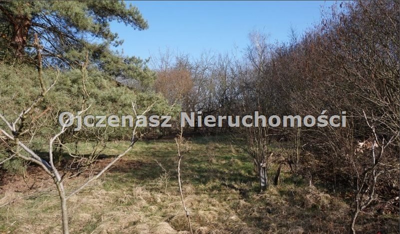 Działka budowlana na sprzedaż Niemcz  7 037m2 Foto 10