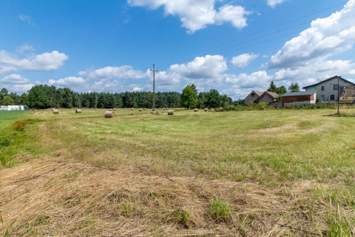 Działka budowlana na sprzedaż Woźniki, Dyrdy, Asfaltowa  1 233m2 Foto 5