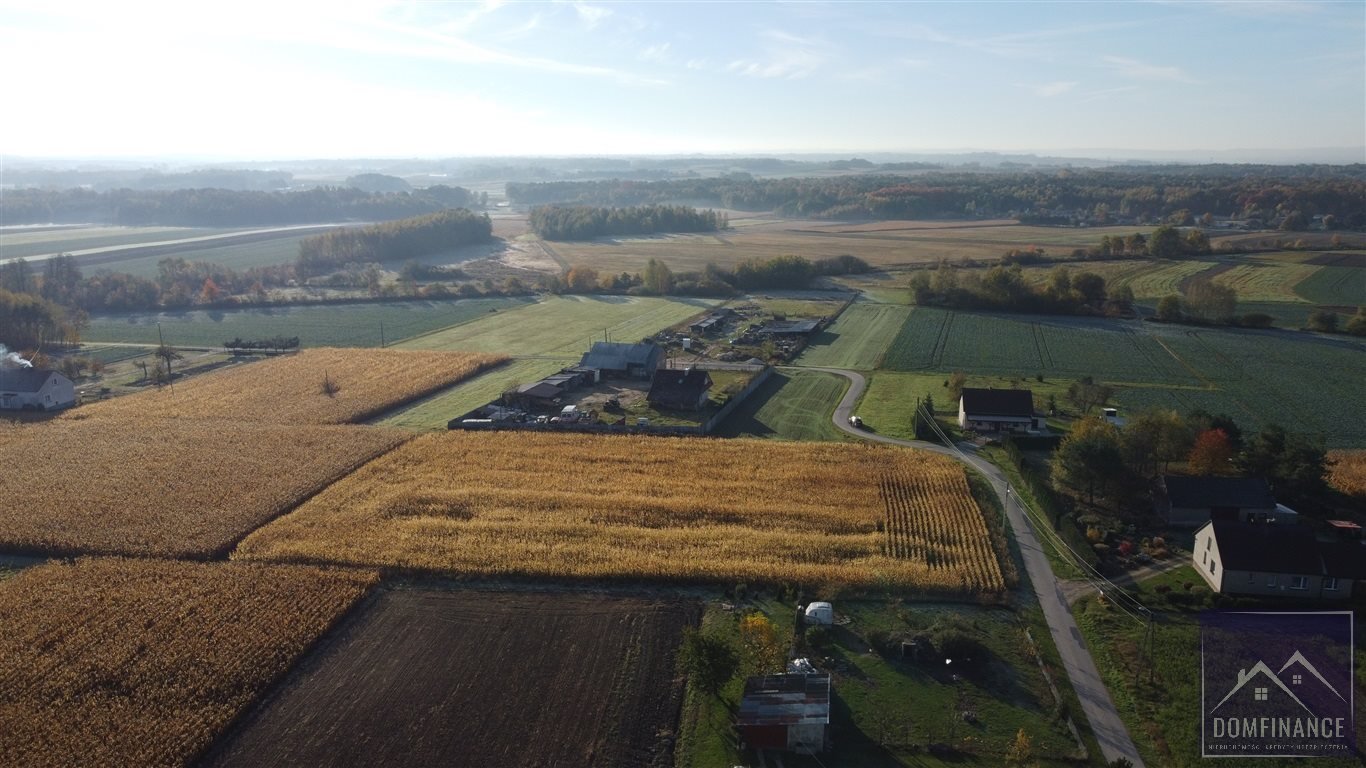 Działka budowlana na sprzedaż Morzychna  7 000m2 Foto 8