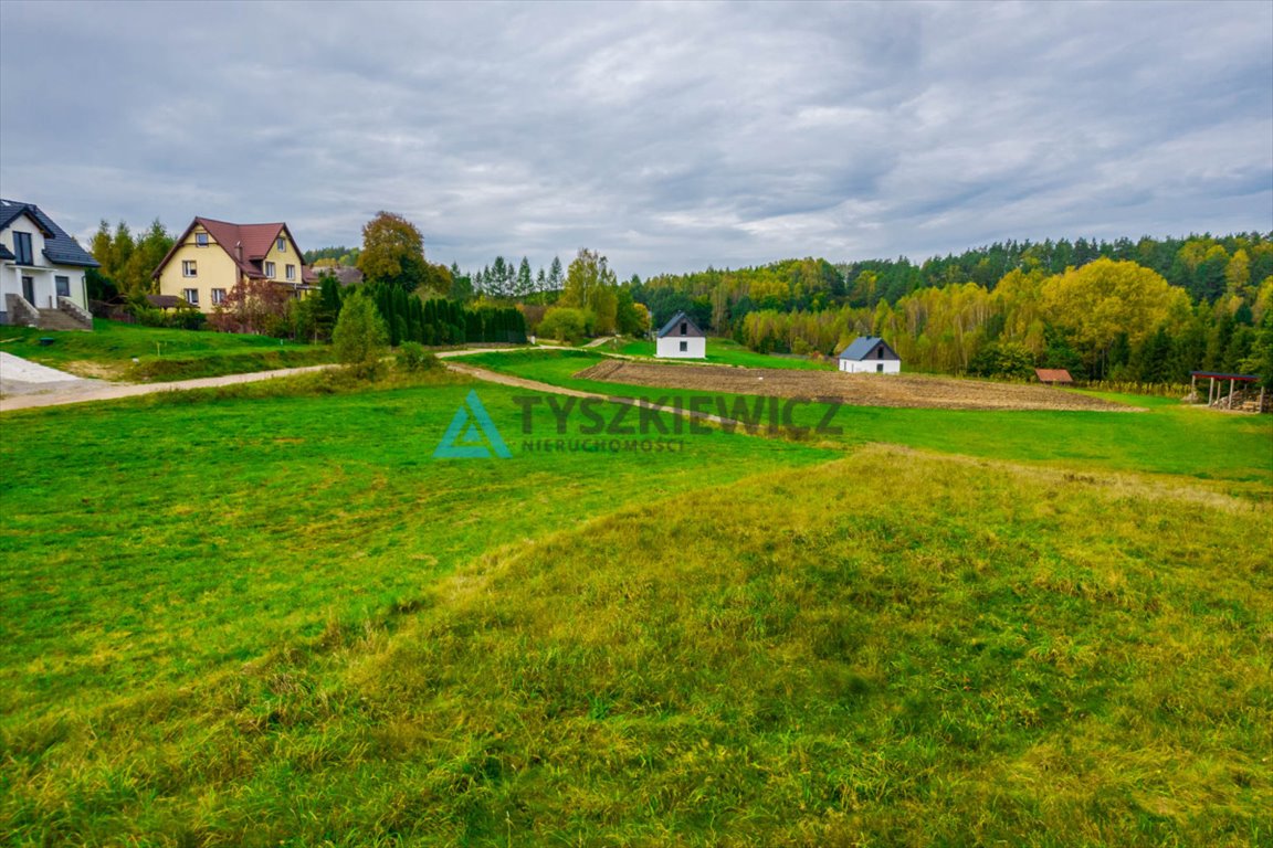 Działka rolna na sprzedaż Stara Huta  3 500m2 Foto 11