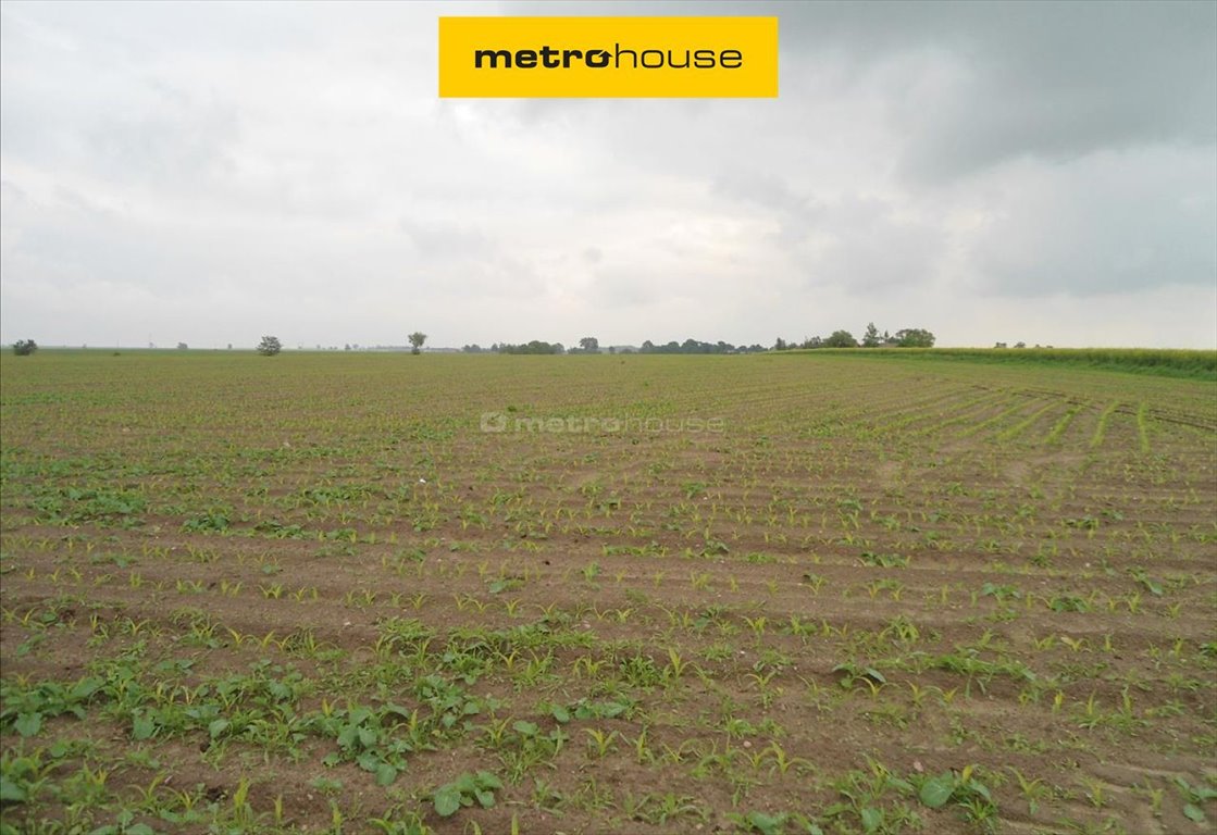 Działka przemysłowa 2,5 ha z mediami i dostępem do drogi Czarne Piątkowo  25 565m2 Foto 1