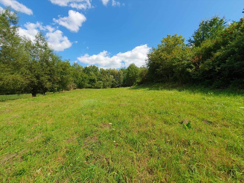 Działka budowlana na sprzedaż Tyczyn, Zagrody  1 825m2 Foto 8