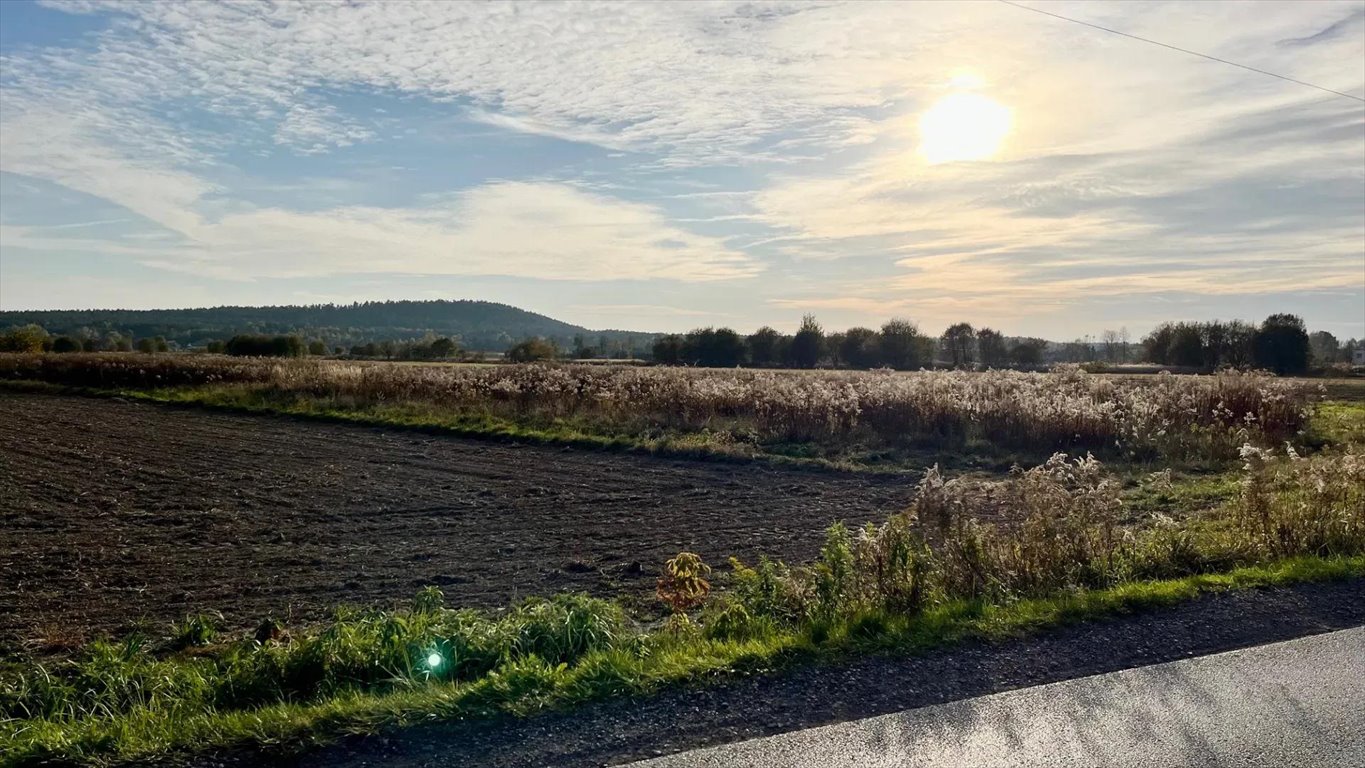 Działka budowlana na sprzedaż Suków, Sukowska 0  1 000m2 Foto 12