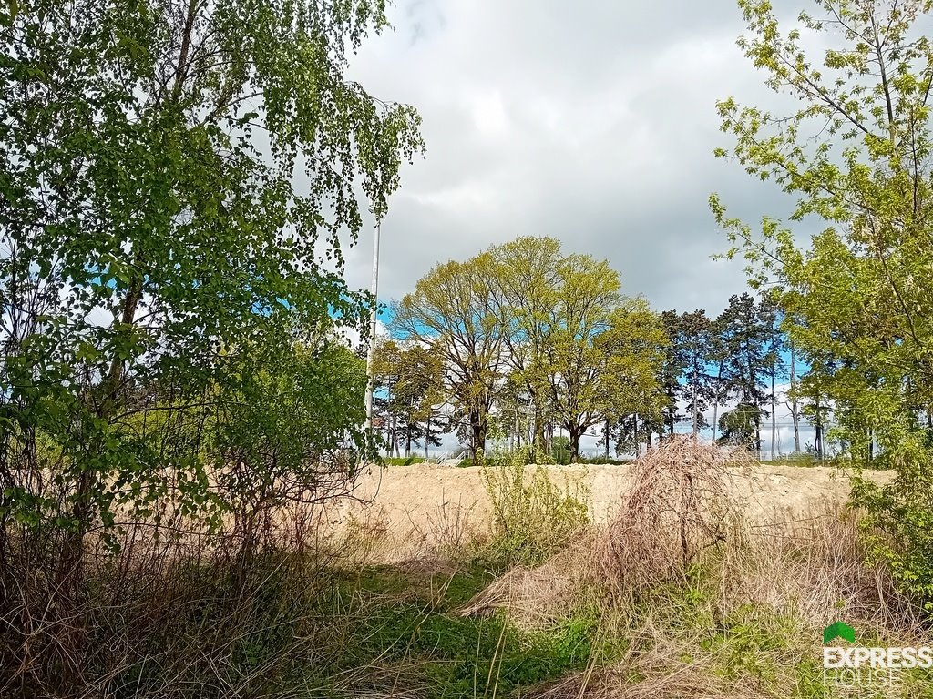 Działka komercyjna na sprzedaż Stasin  6 900m2 Foto 2