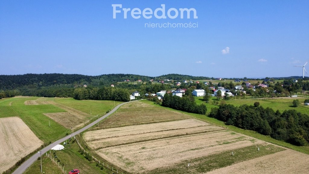 Działka budowlana na sprzedaż Kobylany  4 000m2 Foto 8