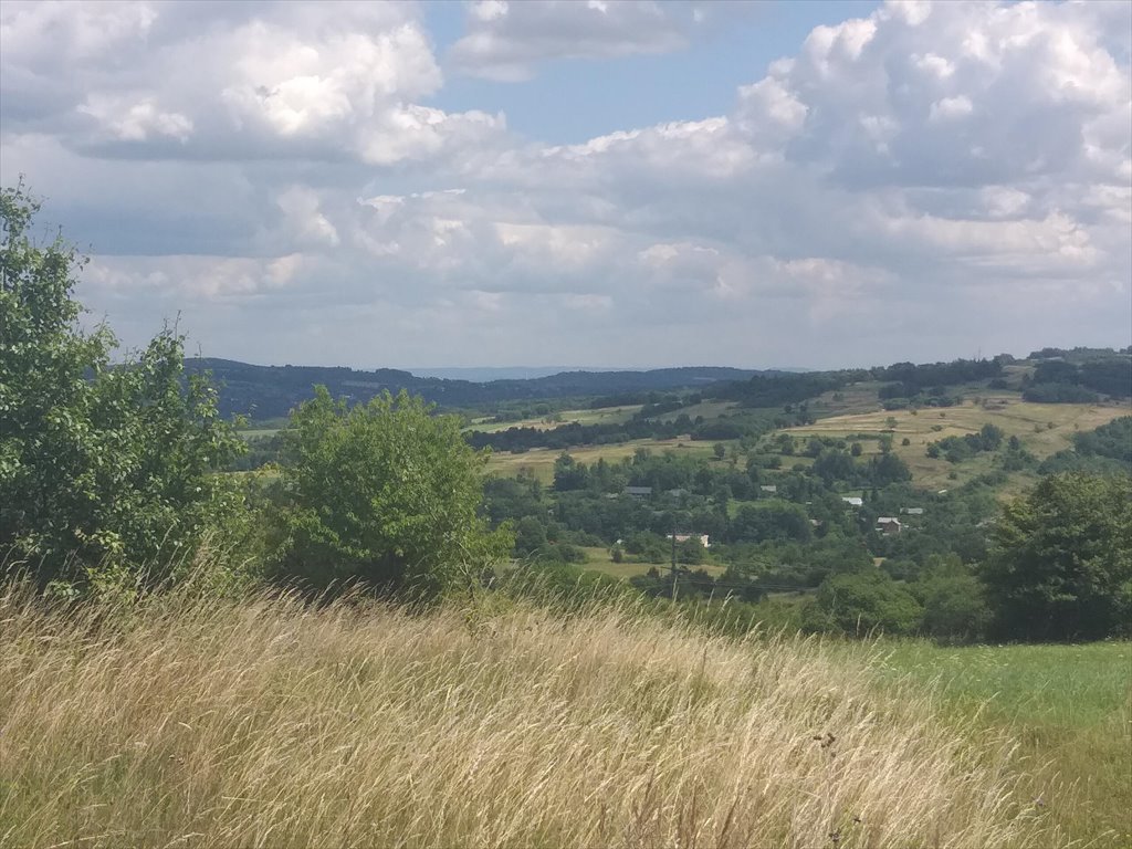 Działka rolna na sprzedaż Makowiska  9 700m2 Foto 6