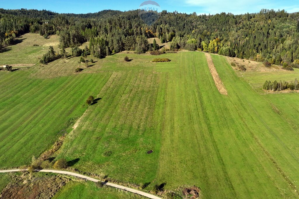 Działka budowlana na sprzedaż Ostrowsko  5 941m2 Foto 5