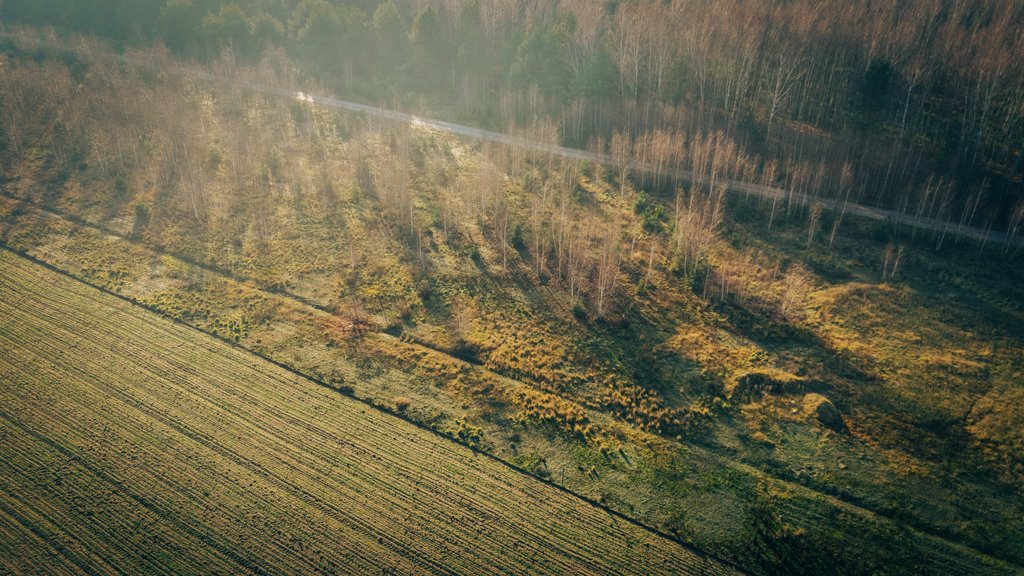 Działka budowlana na sprzedaż Konarzew  1 490m2 Foto 4