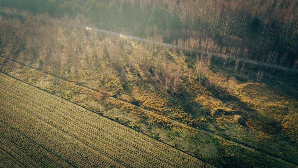 Działka budowlana na sprzedaż Piątek  1 490m2 Foto 4
