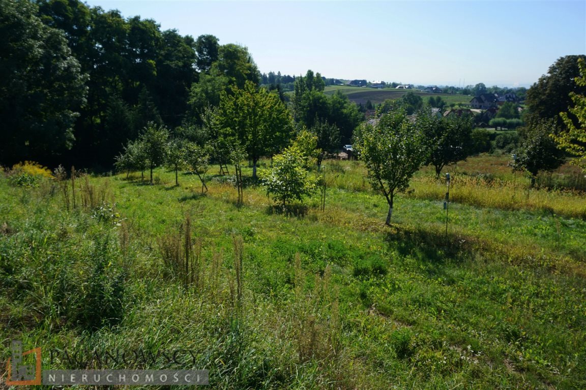 Działka budowlana na sprzedaż Sieborowice 10 000m2 Foto 1 Działka budowlana na sprzedaż Sieborowice 10 000m2 Foto 1