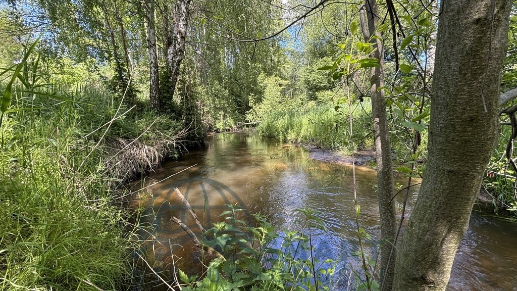 Działka budowlana na sprzedaż Chociszew  11 580m2 Foto 1