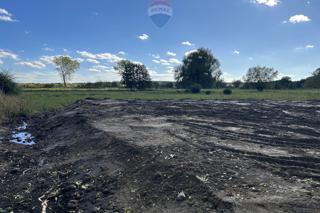 Działka rolna na sprzedaż Witków  4 200m2 Foto 19