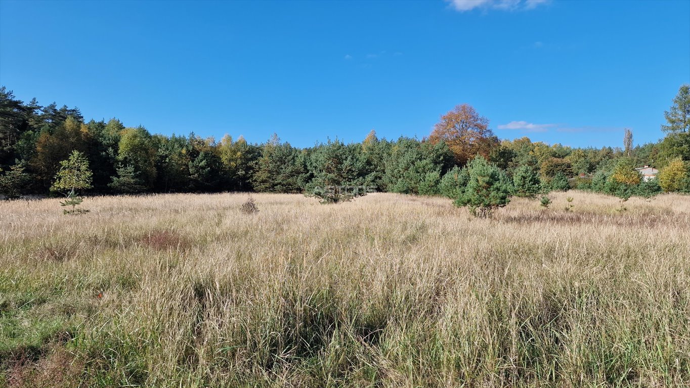 Działka budowlana na sprzedaż Wierzyce, osiedle Akacjowe  7 732m2 Foto 15